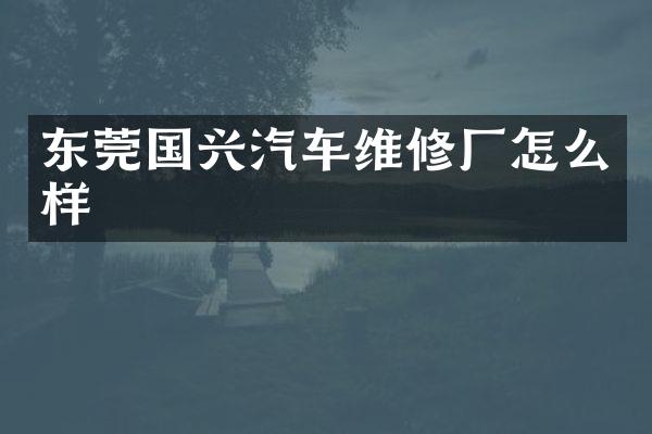 东莞国兴汽车维修厂怎么样