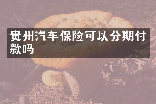 贵州汽车保险可以分期付款吗