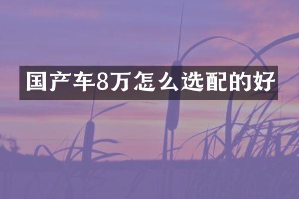 国产车8万怎么选配的好