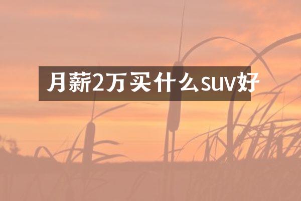 月薪2万suv好