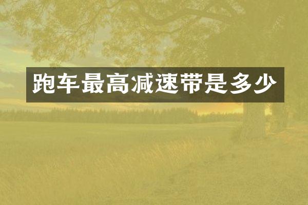 跑车最高减速带是多少