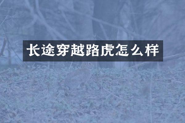 长途穿越路虎怎么样