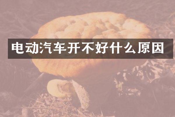 电动汽车开不好什么原因