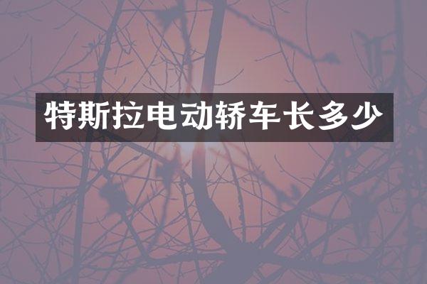 特斯拉电动轿车长多少