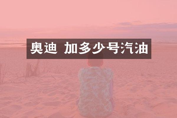 奥迪 加多少号汽油