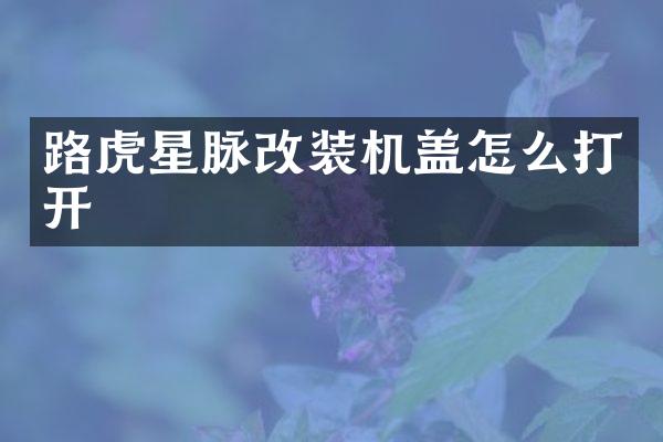 路虎星脉改装机盖怎么打开