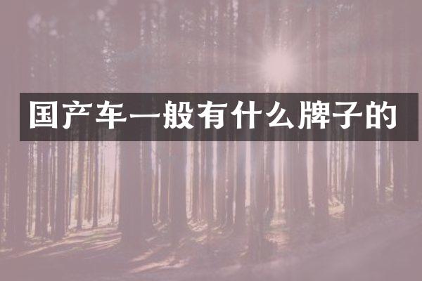 国产车一般有什么牌子的