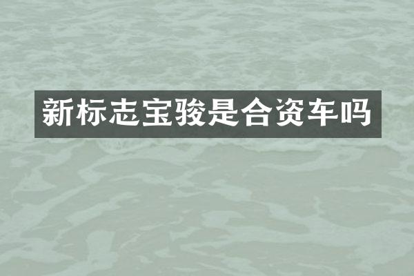 新标志宝骏是合资车吗