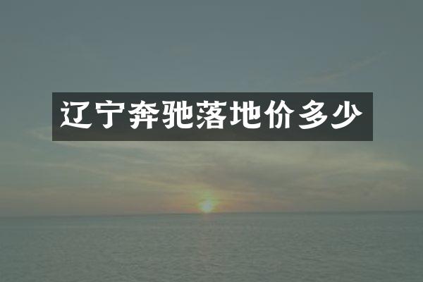 辽宁奔驰落地价多少