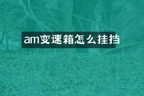 am变速箱怎么挂挡