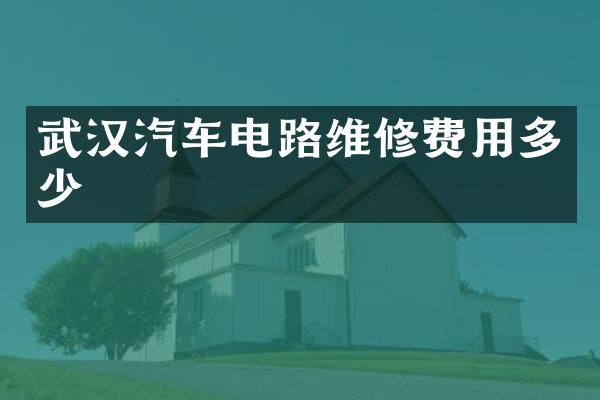 武汉汽车电路维修费用多少