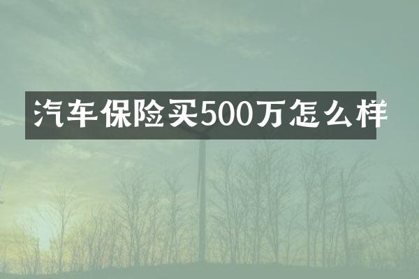 汽车保险买500万怎么样