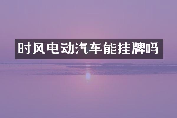 时风电动汽车能挂牌吗