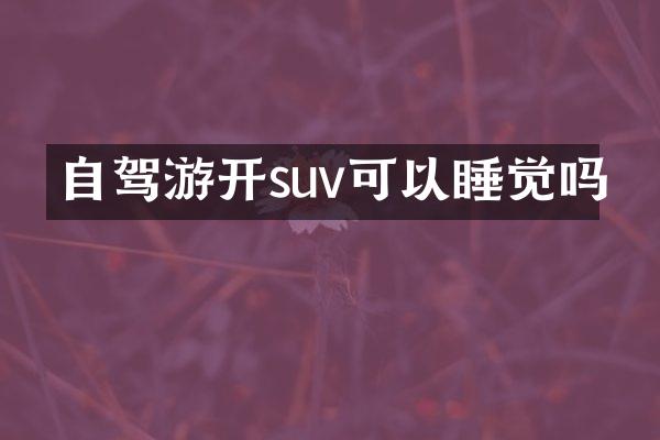 自驾游开suv可以睡觉吗