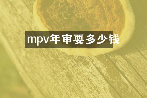 mpv年审要多少钱
