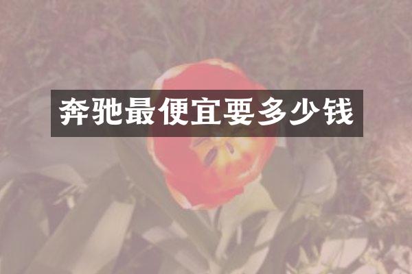 奔驰最便宜要多少钱