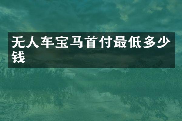 无人车宝马首付最低多少钱