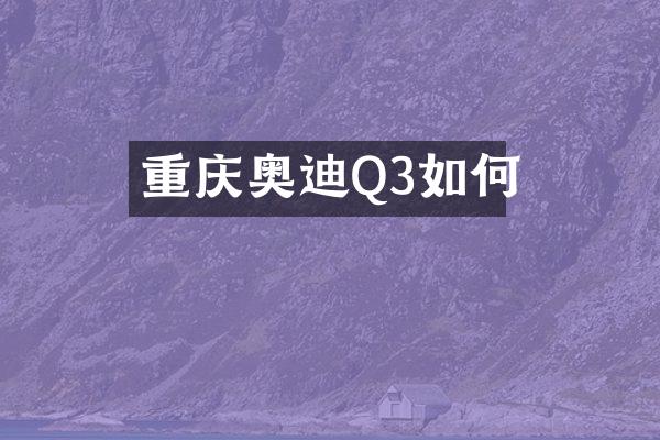 重庆奥迪Q3如何