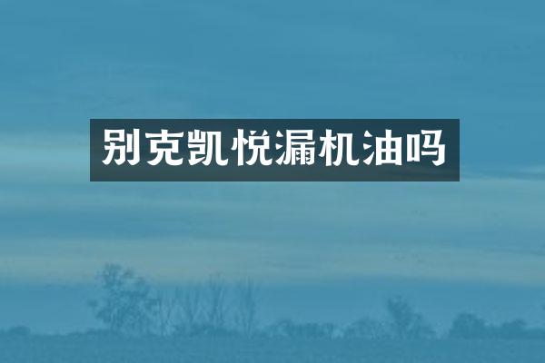 别克凯悦漏机油吗