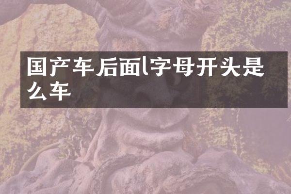 国产车后面l字母开头是什么车