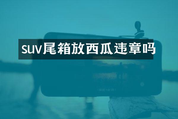 suv尾箱放西瓜违章吗