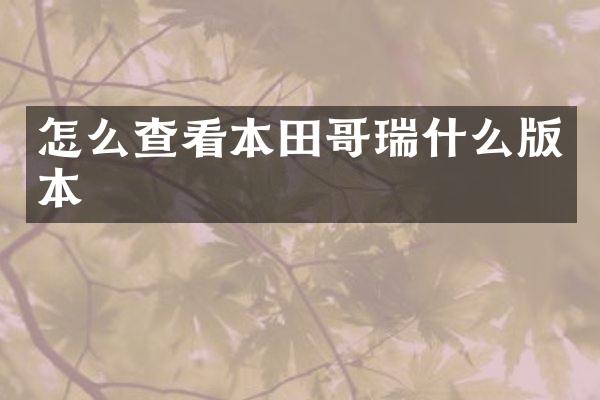 怎么查看本田哥瑞什么版本