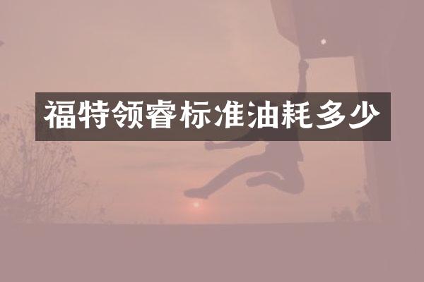 福特领睿标准油耗多少