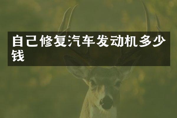 自己修复汽车发动机多少钱