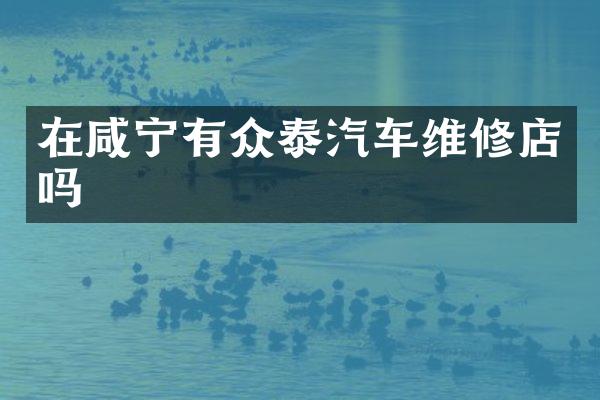 在咸宁有众泰汽车维修店吗