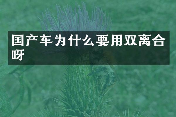 国产车为什么要用双离合呀