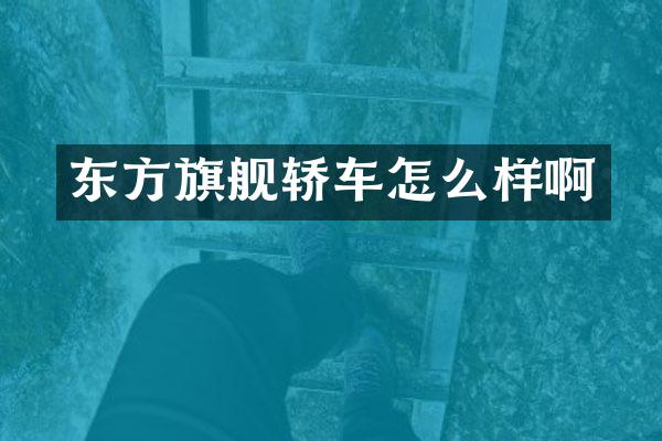 东方旗舰轿车怎么样啊