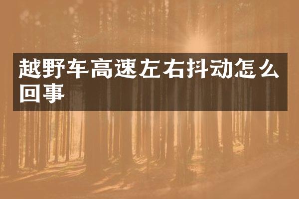 越野车高速左右抖动怎么回事