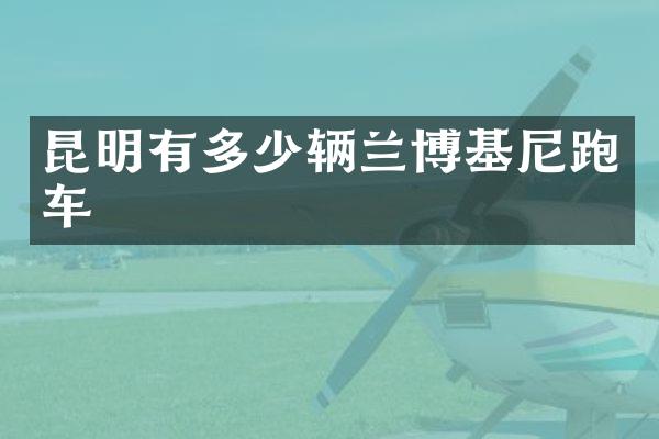 昆明有多少辆兰博基尼跑车
