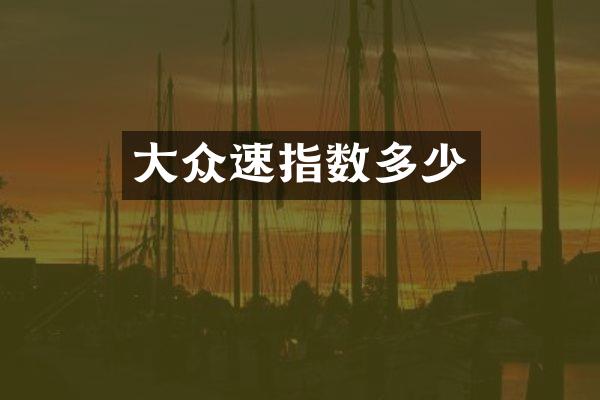 大众速指数多少