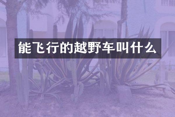能飞行的越野车叫什么