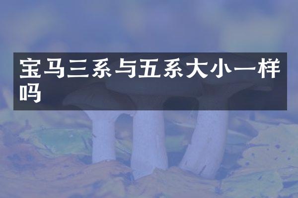 宝马三系与五系大小一样吗
