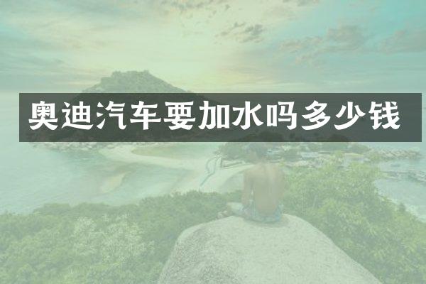 奥迪汽车要加水吗多少钱