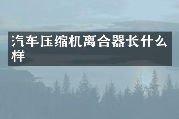 汽车压缩机离合器长什么样