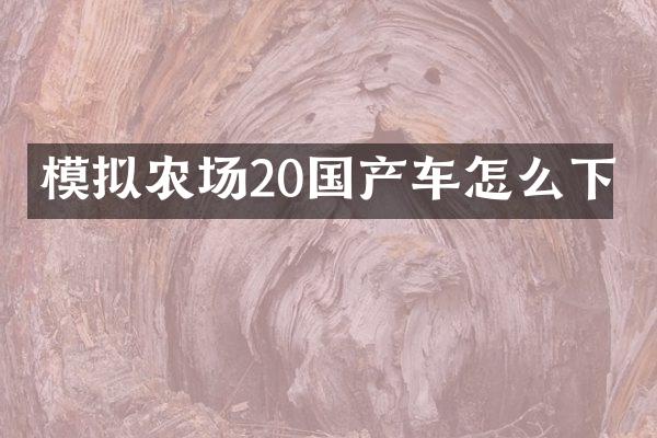 模拟农场20国产车怎么下