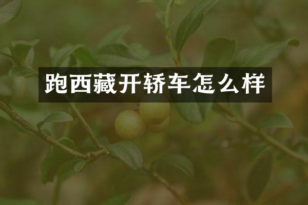 跑西藏开轿车怎么样