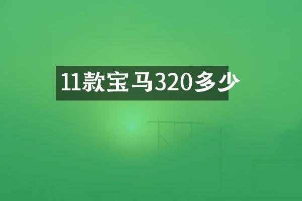 11款宝马320多少