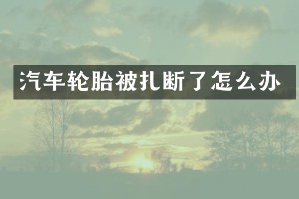 汽车轮胎被扎断了怎么办