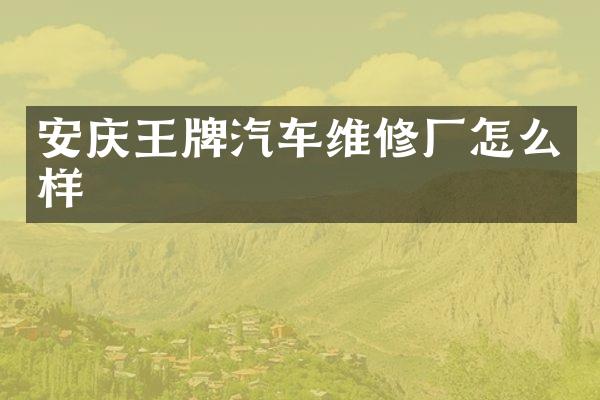 安庆王牌汽车维修厂怎么样
