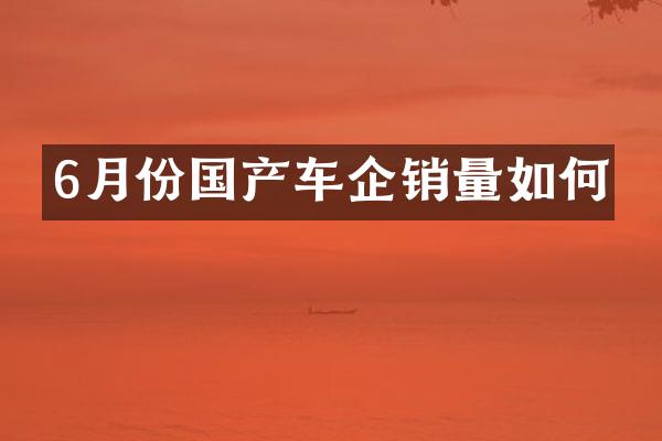 6月份国产车企销量如何