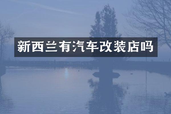 新西兰有汽车改装店吗