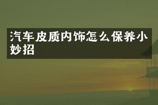 汽车皮质内饰怎么保养小妙招