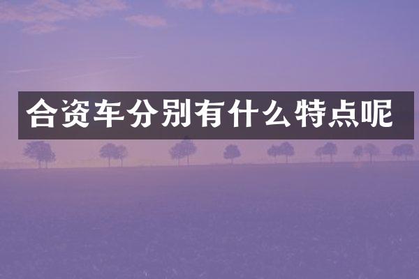 合资车分别有什么特点呢