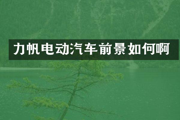 力帆电动汽车前景如何啊