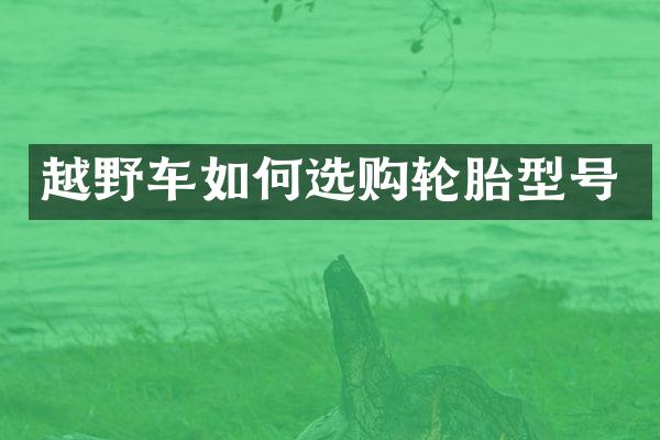 越野车如何选购轮胎型号