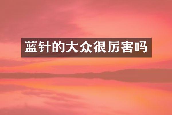蓝针的大众很厉害吗